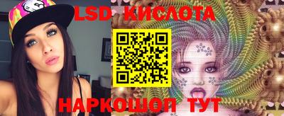 молекула духа Будённовск