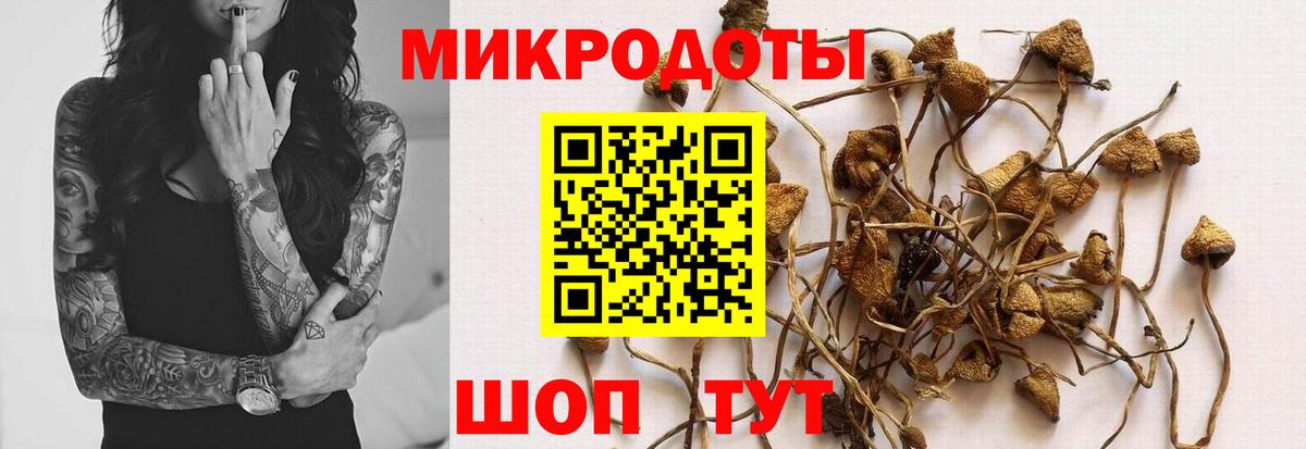 Псилоцибиновые грибы Psilocybine cubensis Смоленск